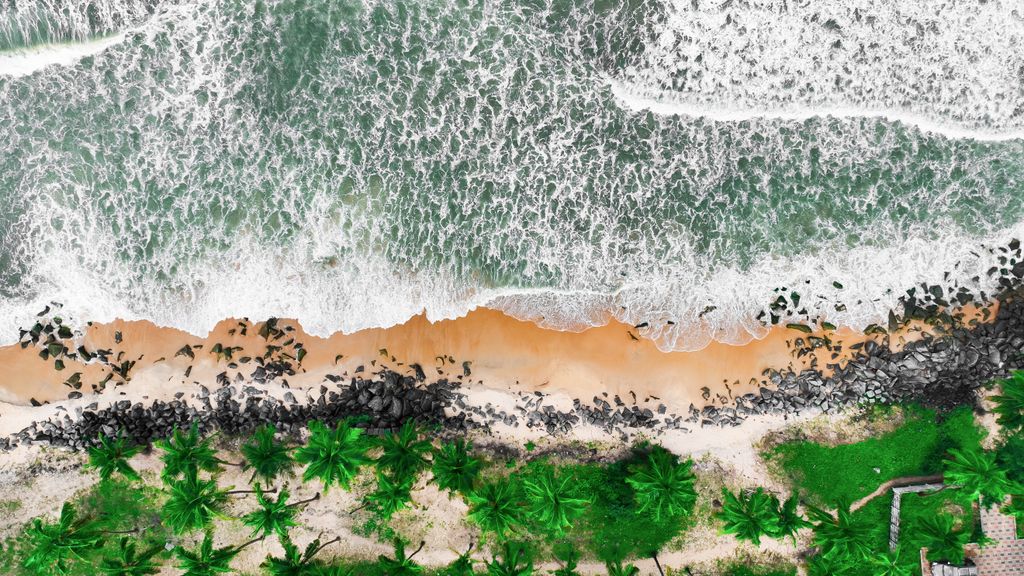 Stunning aerial view of Udupi's tropical beach with lush green palms and crashing waves.